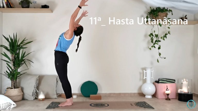 Saludo al sol principiantes