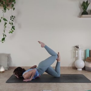 Clase de Hatha Yoga Quinto Chakra Vishuddha