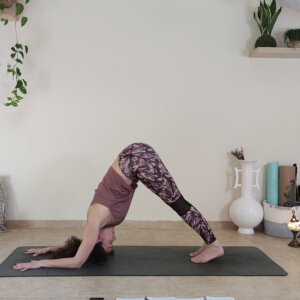 Clase de Hatha Yoga Sexto Chakra Ajna